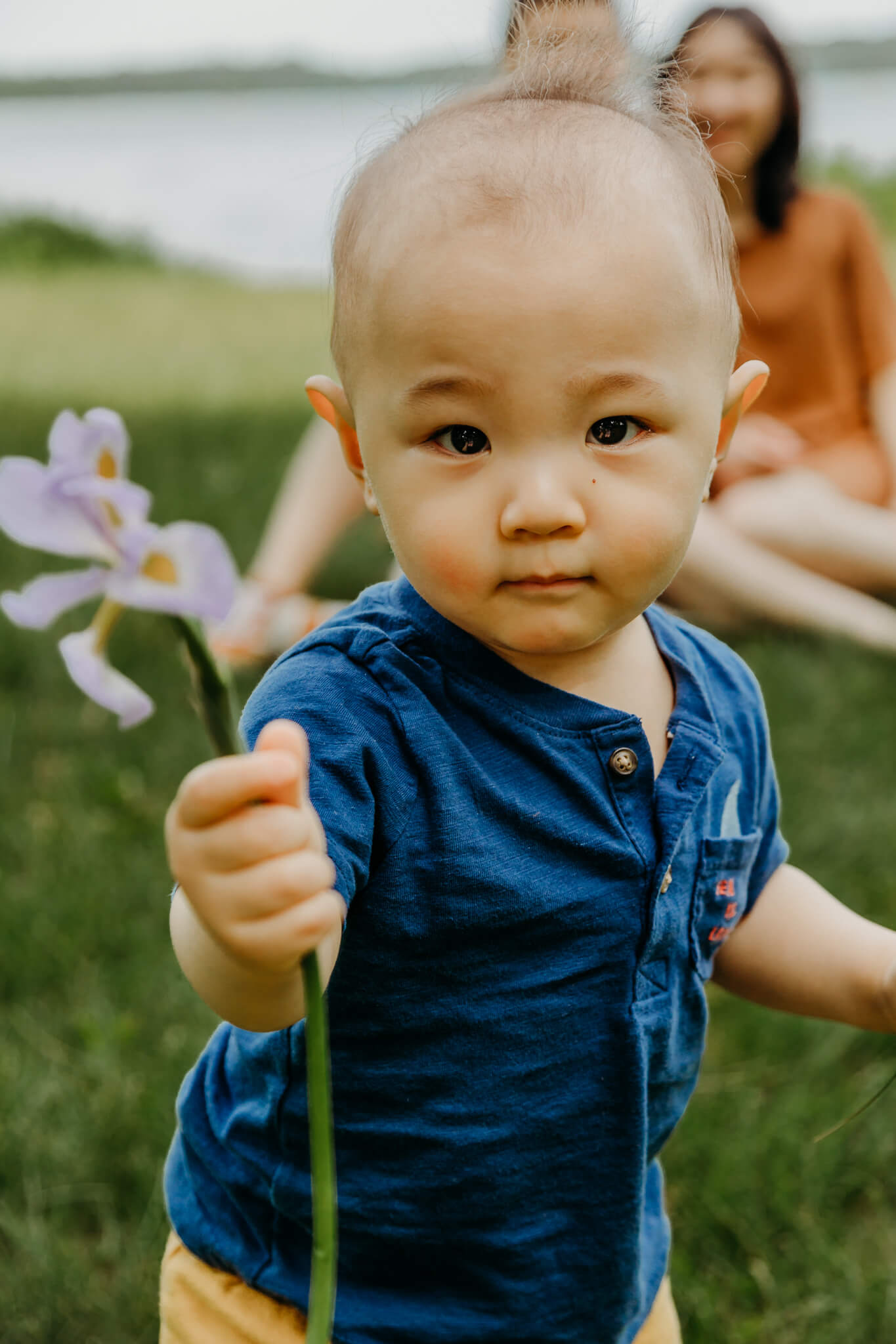 little boy holding out a purple flower