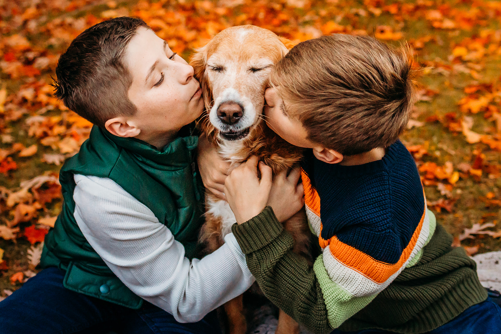 Two young boys in sweaters sit in a park in fall kissing the cheeks of their golden retriever after visiting a Pediatric Dentist Chippewa Falls, WI